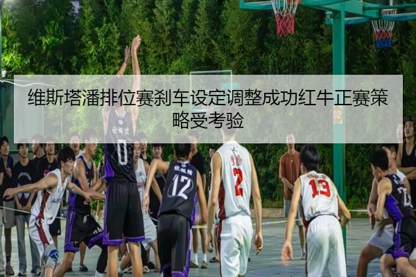 维斯塔潘排位赛刹车设定调整成功红牛正赛策略受考验 - ManBetX